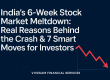 India’s Stock Market Meltdown