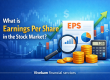 Earnings Per Share