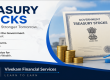 Treasury Stocks